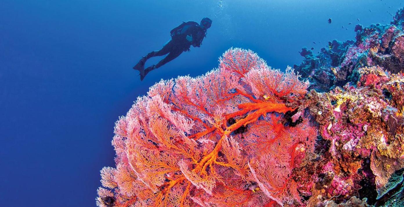 Pristine Paradise Dive Resort - Togean Islands, Una Una Pulau Unauna Kültér fotó